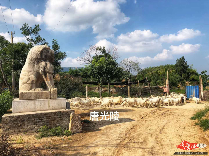 图片10.jpg