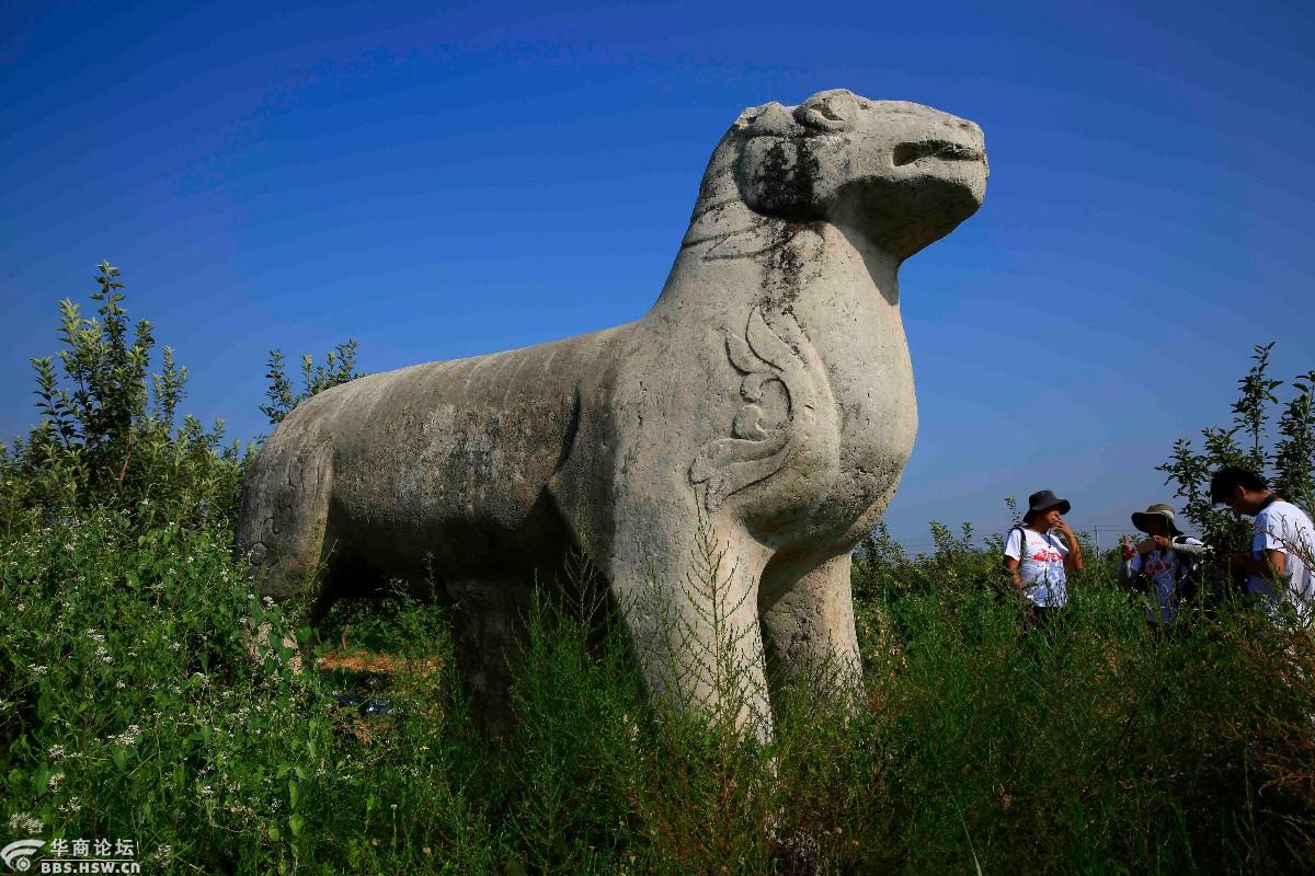 寻唐迹探访关中唐十八帝陵第一站唐献陵