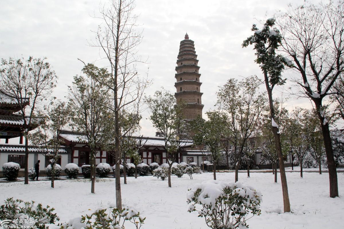 【寻唐迹】走近高陵昭慧塔