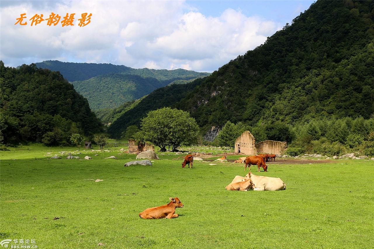 人间天堂留坝狮子沟牧场