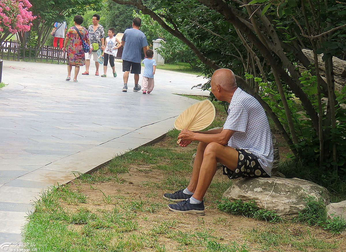 盛夏纳凉的老人们