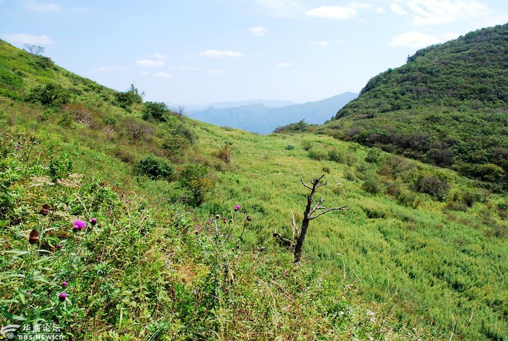 库峪草甸偶遇记