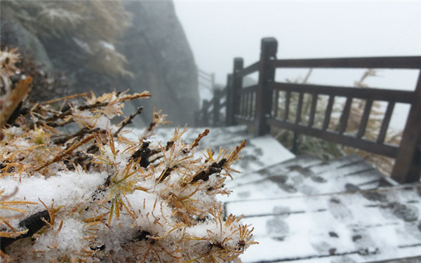 太白山迎来今秋首场降雪 登山游客惊喜不已