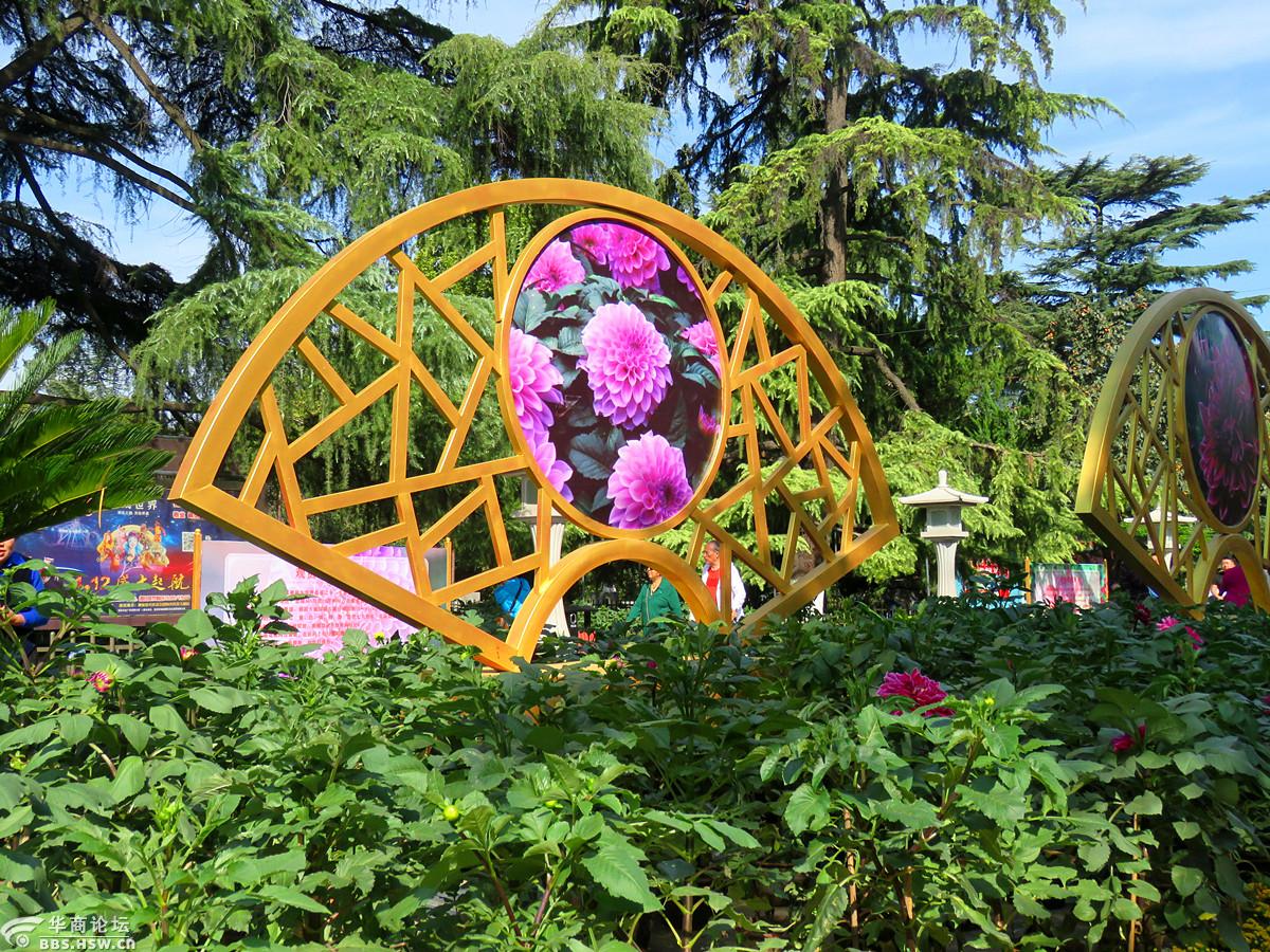 兴庆公园南门开放满园大丽花国庆迎宾