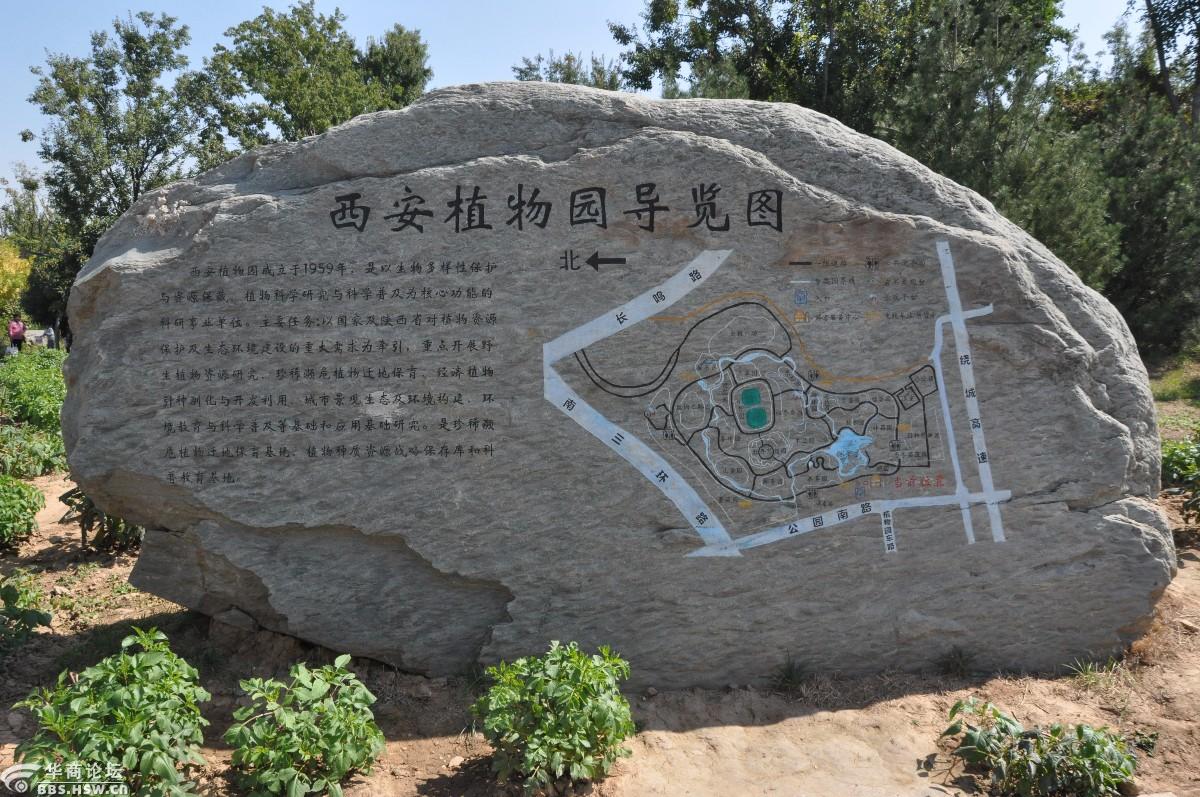 陕西省西安植物园炫放七彩幸福菊