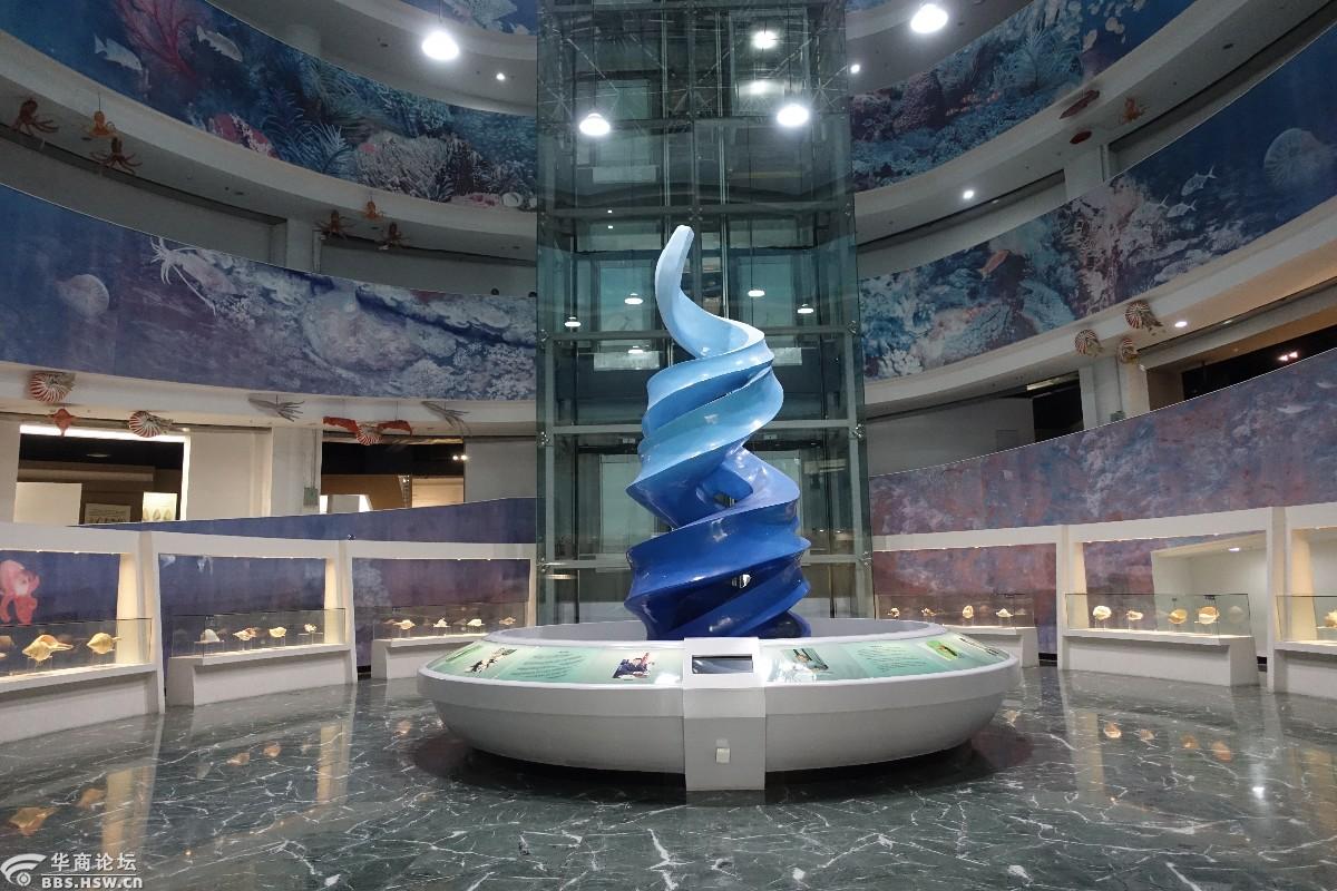 大连贝壳博物馆