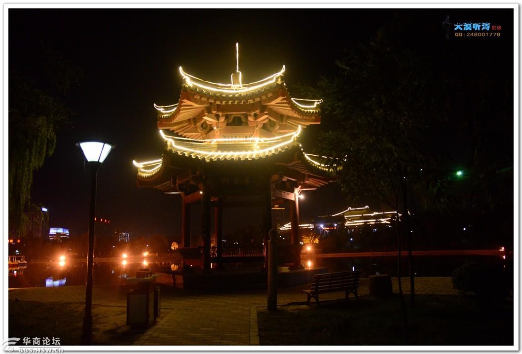 蒲城紫荆公园夜景随拍