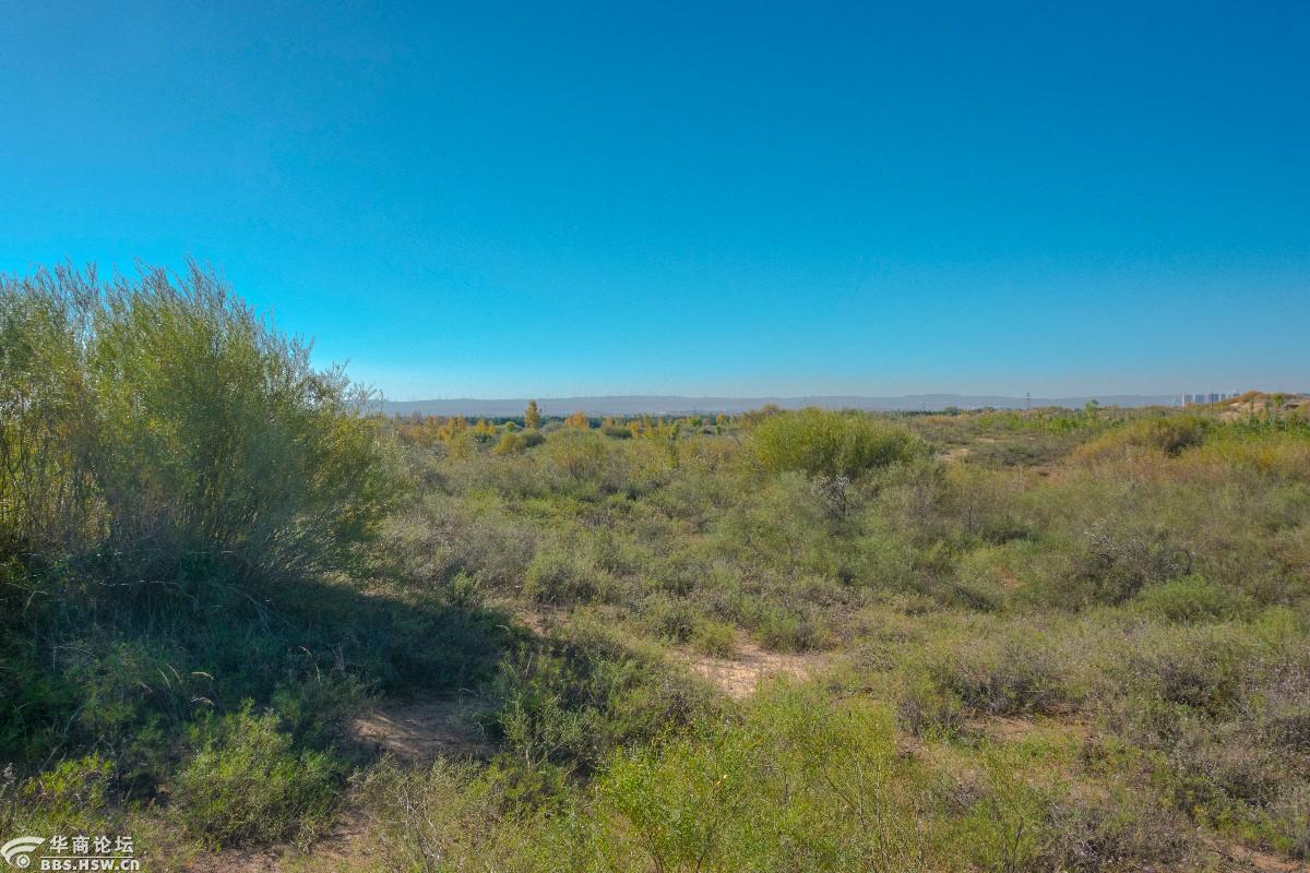 国庆游记之榆林人民脚下的毛乌素沙漠