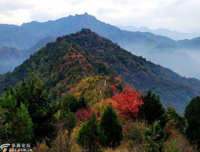 秦岭秋色怎么样色彩斑斓五道梁