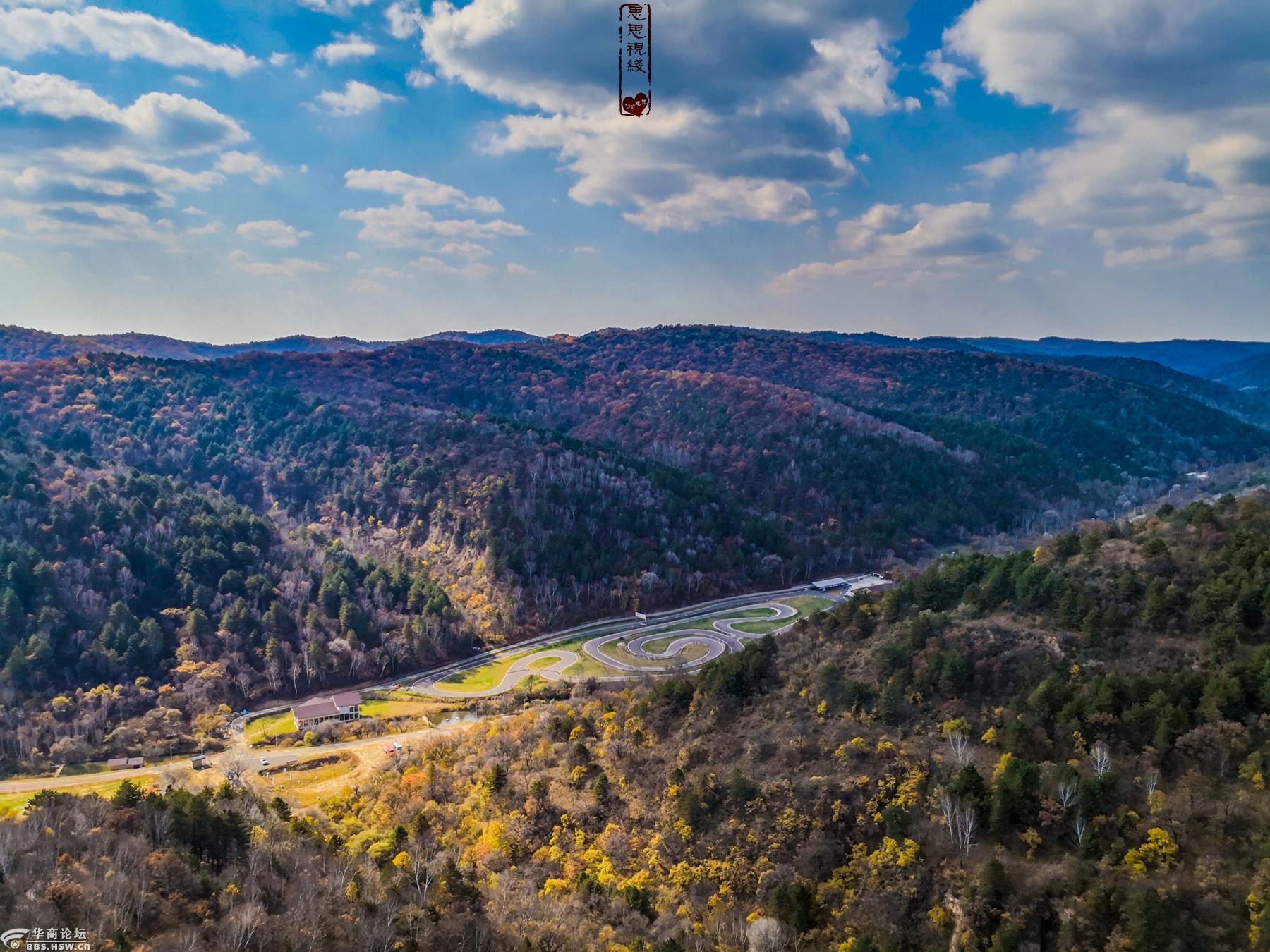 黄龙县瓦子街树顶漫步