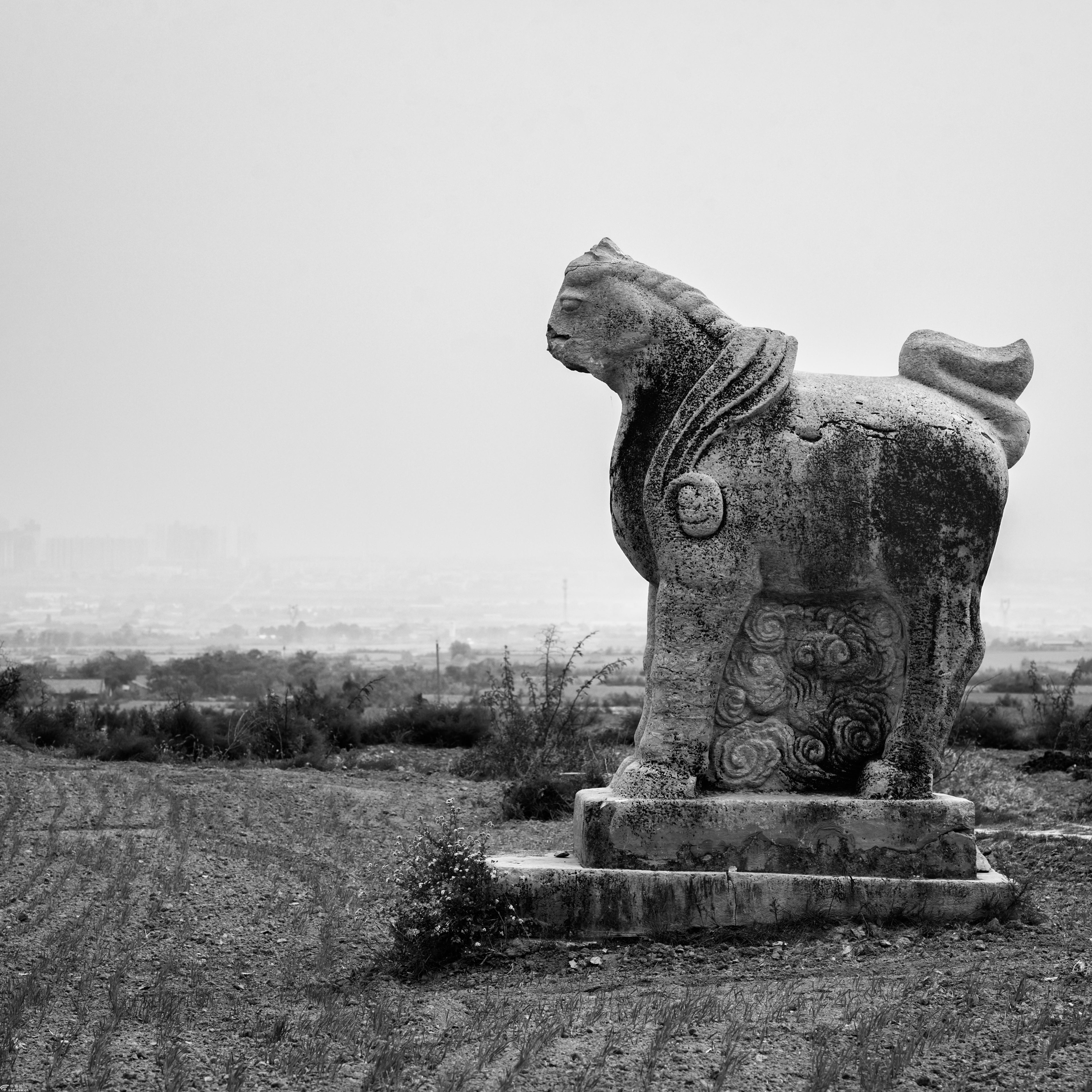 《寻唐迹》之唐穆宗光陵 摄影:汉唐8315787