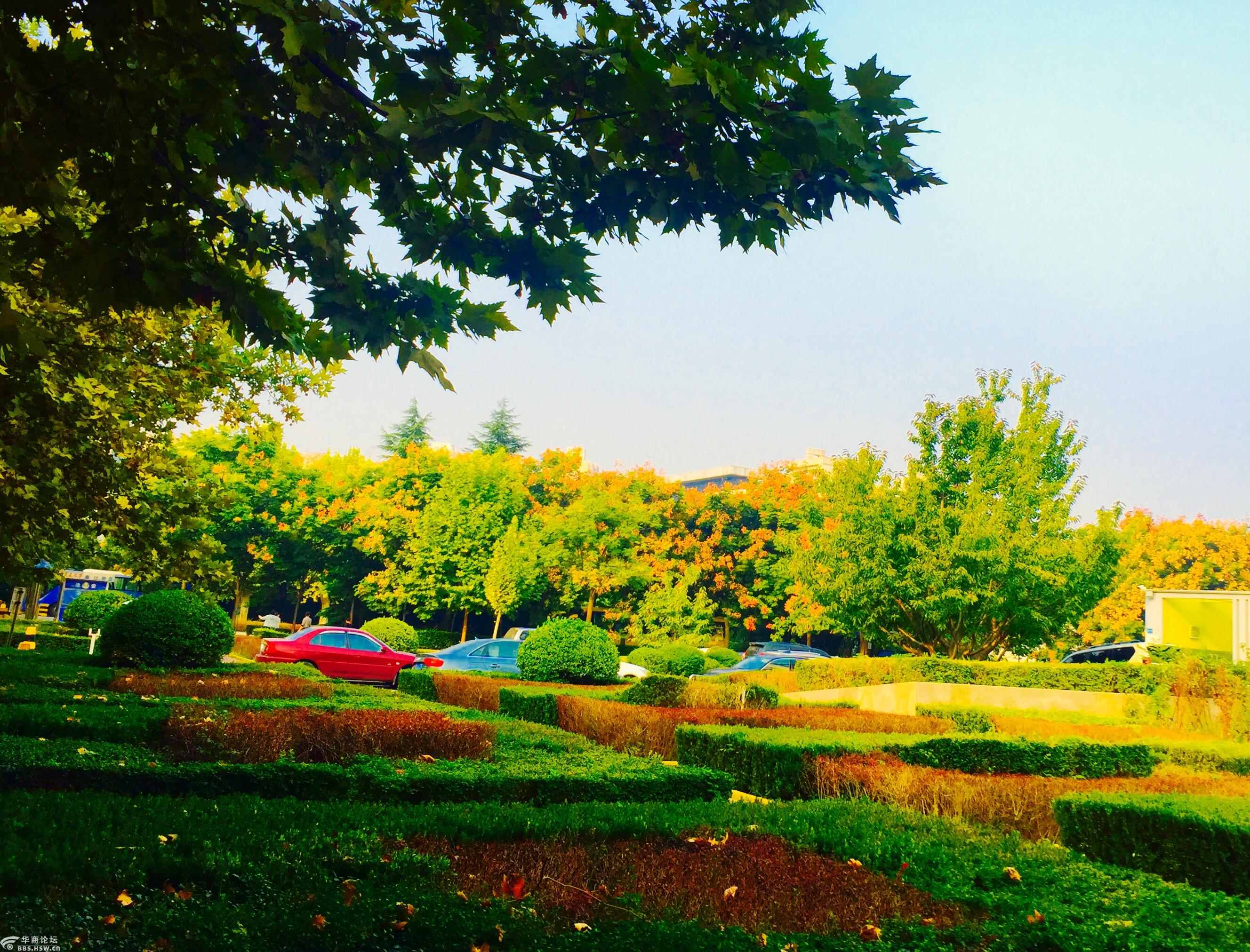 西安交大曲江校区秋景