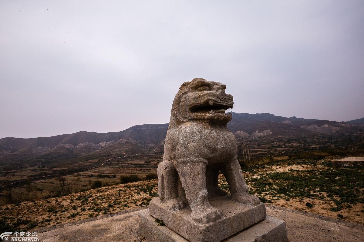 【寻唐迹】唐穆宗李恒之光陵