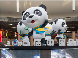 从进博会看百姓生活六大新趋势