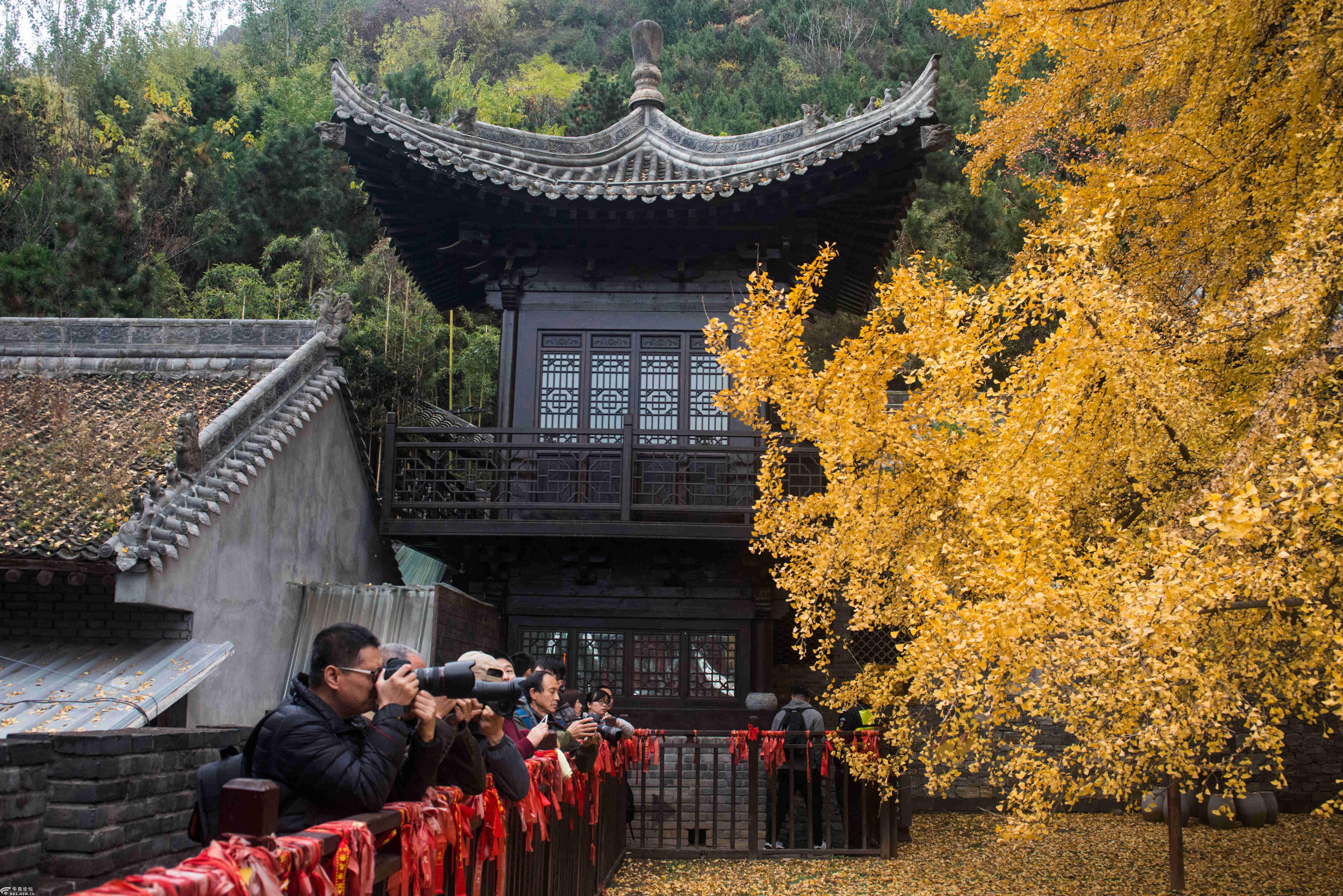 古观音禅寺
