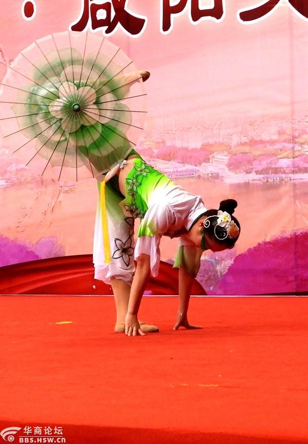 独舞茉莉情怀欣赏表演者曹芳