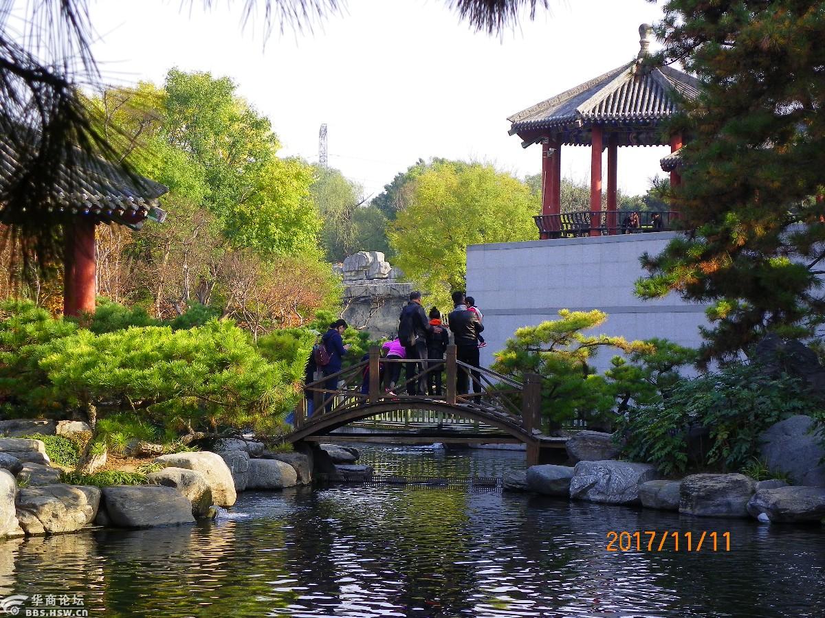 深秋美景西安唐苑行