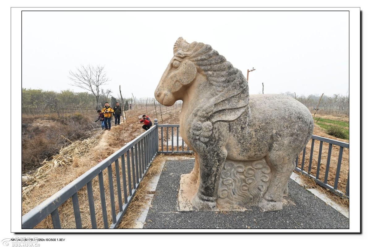 寻唐迹跟随花儿走端陵