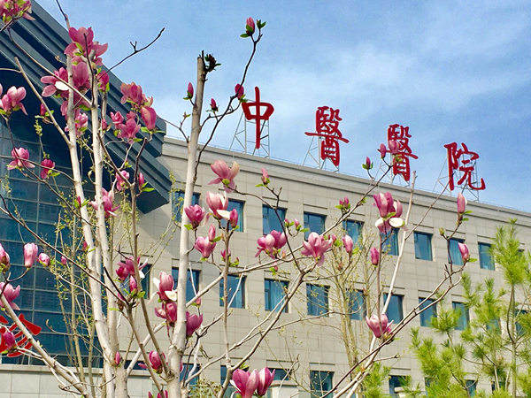 微信图片_20181212154400.jpg