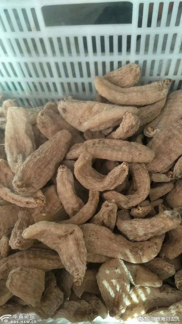 天麻是宁陕县的传统优势产业在农民增收中发挥着重要的作用