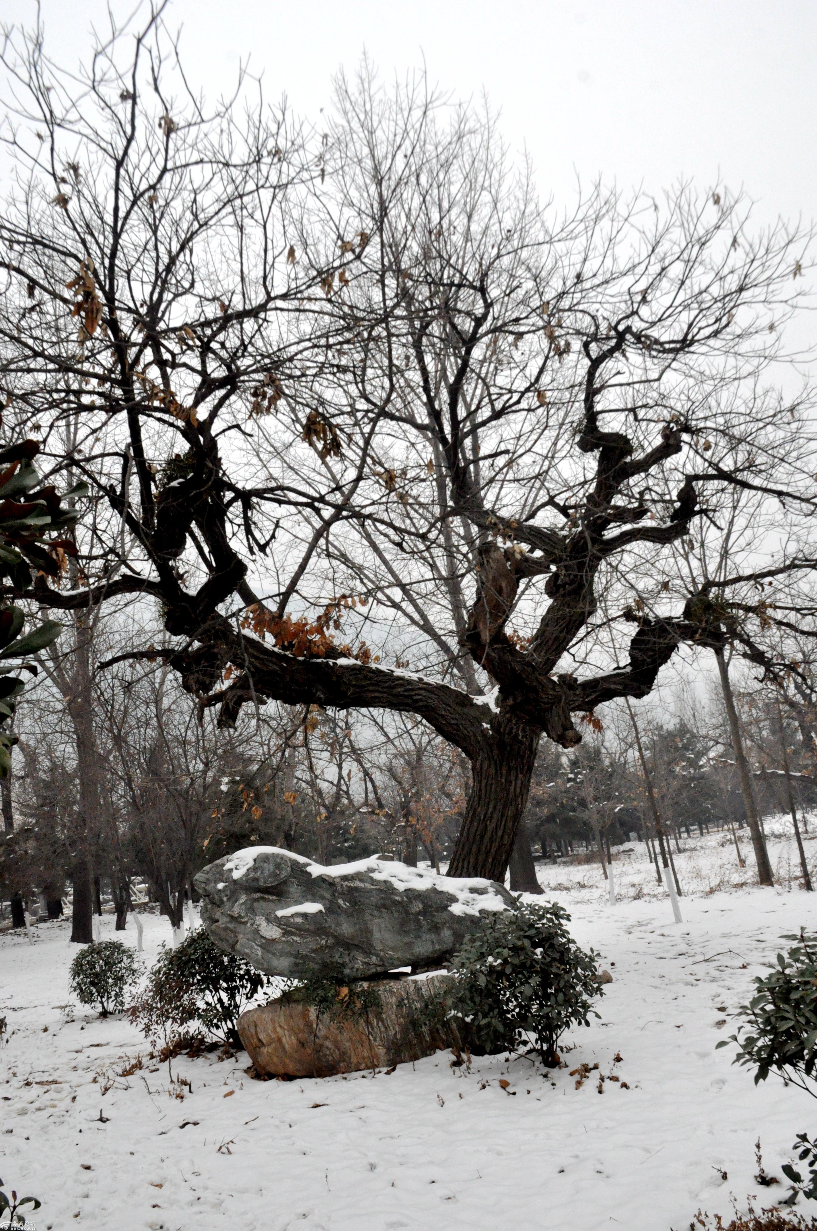 看了又看大汉上林苑