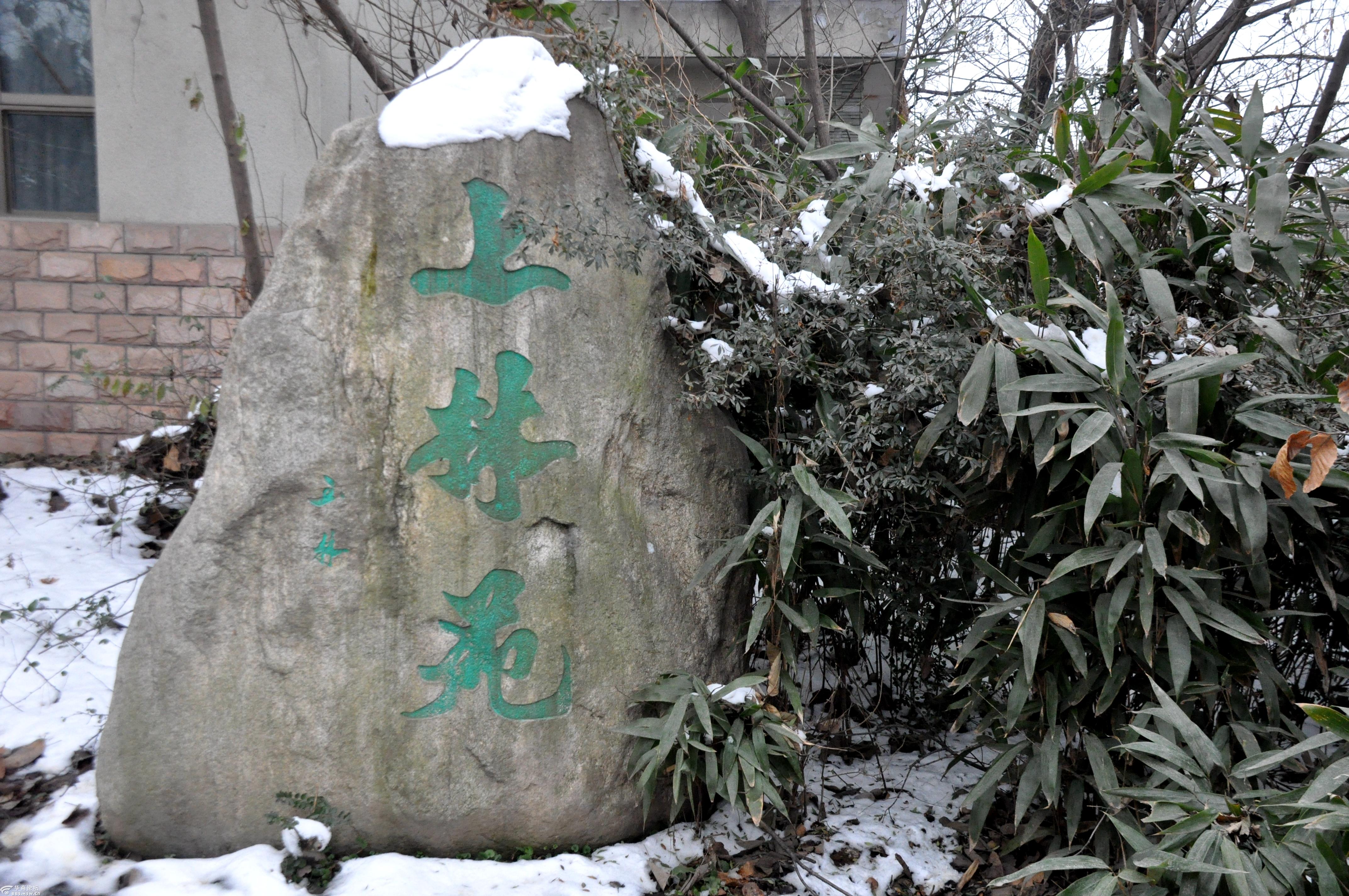 看了又看大汉上林苑