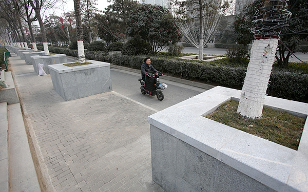 西安路边1.5米宽“傻大树坛”引市民吐槽：不好看还占道