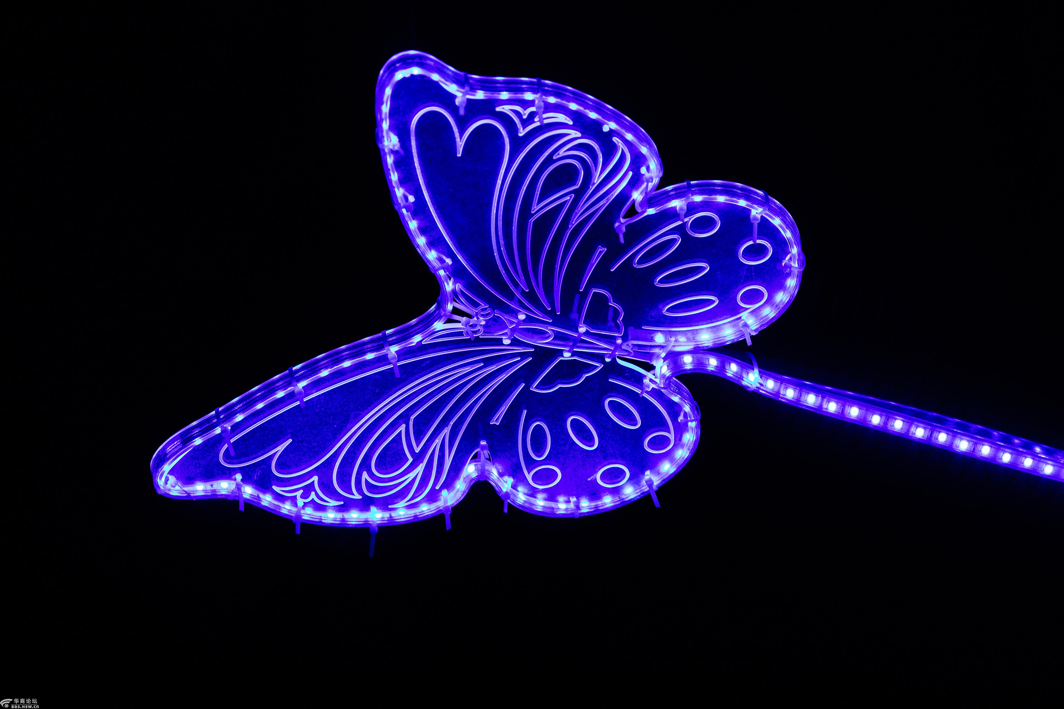 蝴蝶景观灯,科技感十足,幸福安康,年味浓.