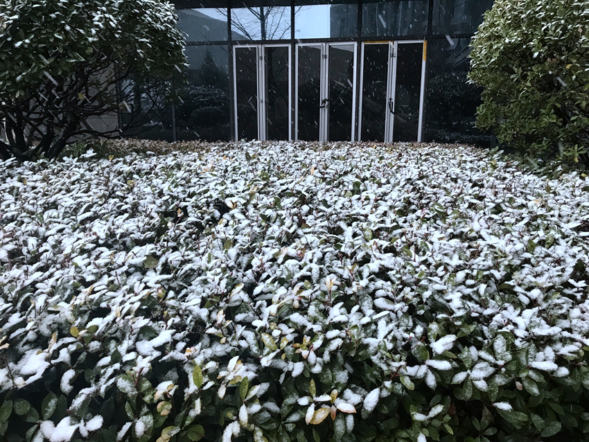 西安新年的第一场雪“空降” 你今天上班迟到了吗？