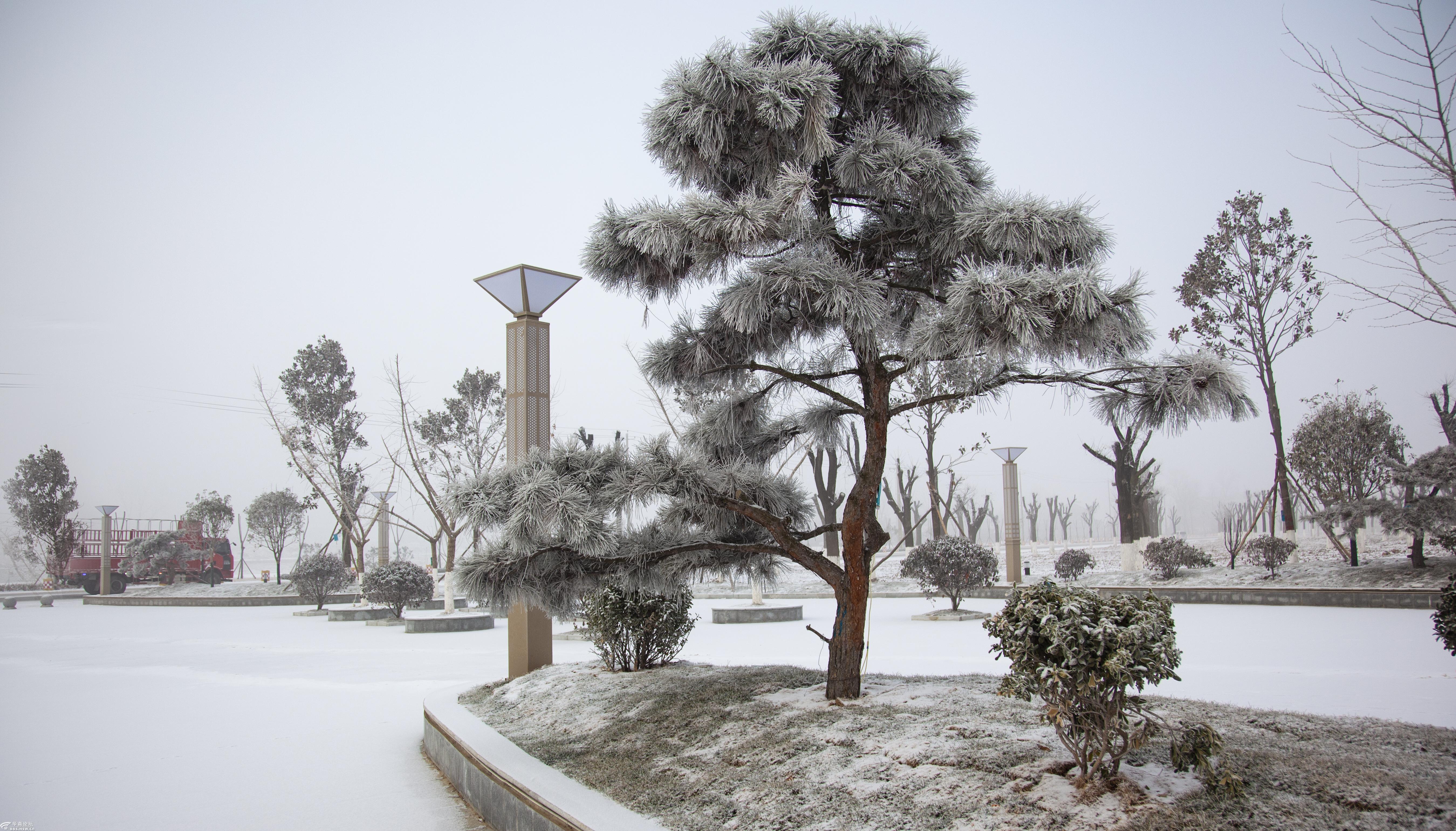 雪景洛南