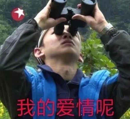 酸成柠檬精！情人节大家都关注什么！