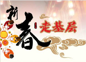 反映农民的意愿和心声（新春走基层·代表委员履职故事）