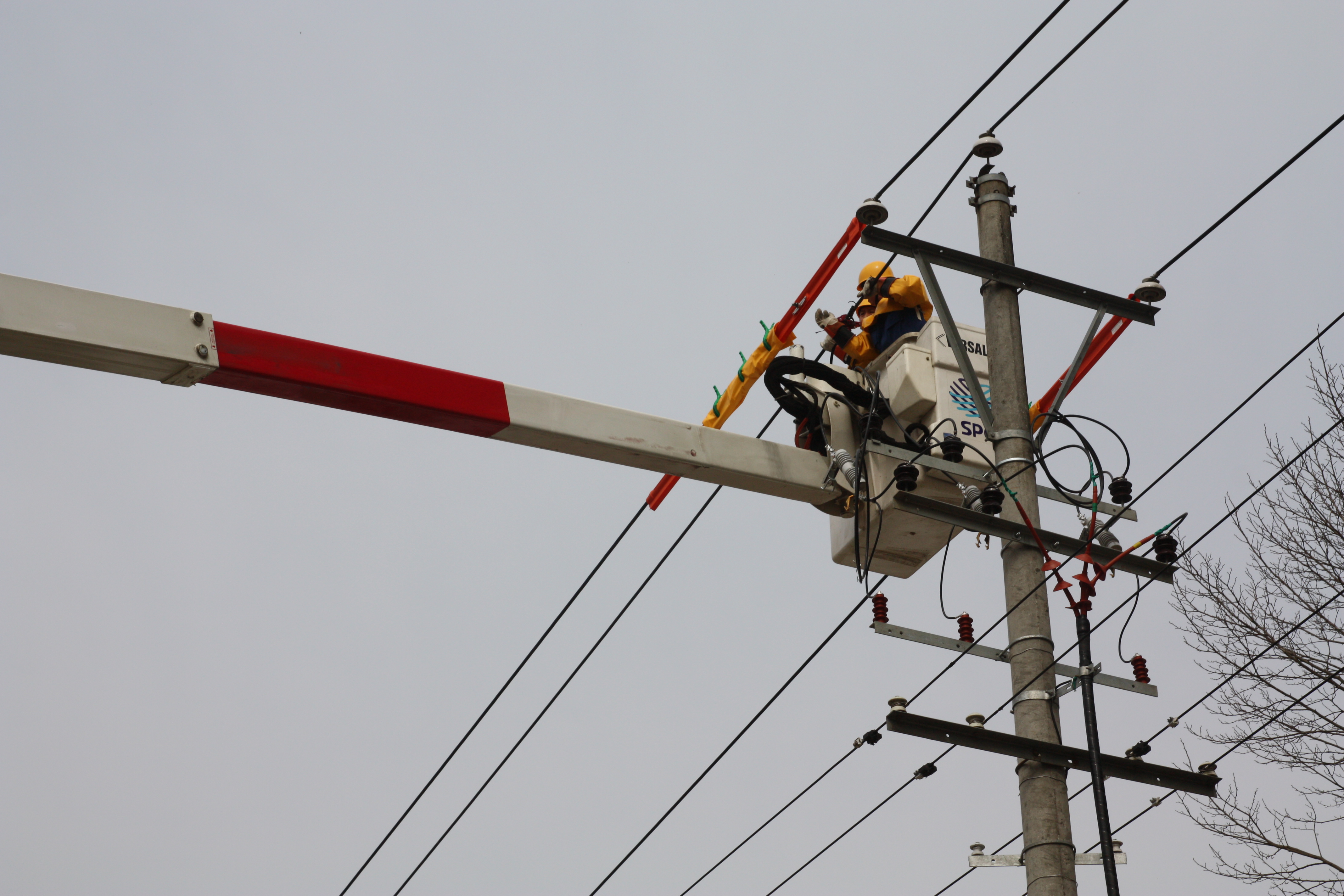 地电留坝县供电分公司实现辖区内首次带电作业