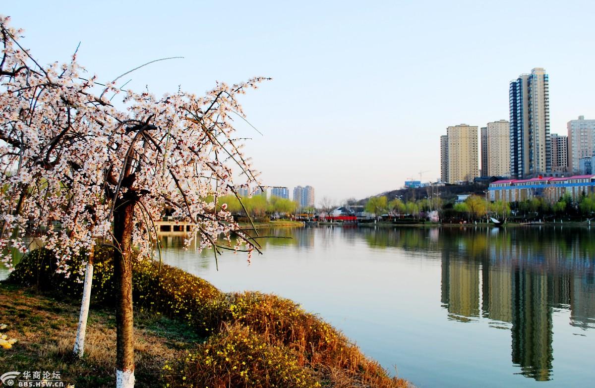 春到桃花潭