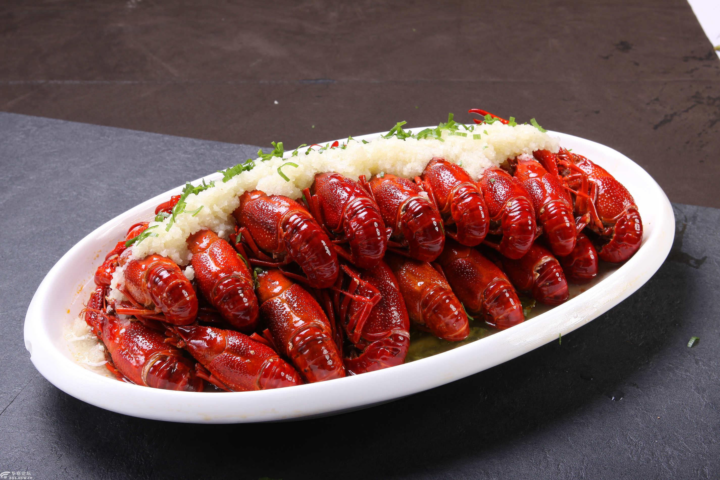 人间不值得?小龙虾表示不服