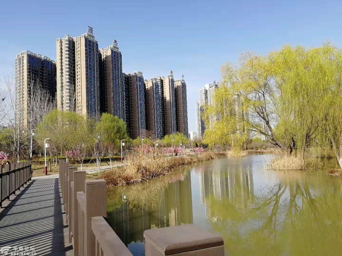 你好春天咸阳湖滨河湿地休闲区