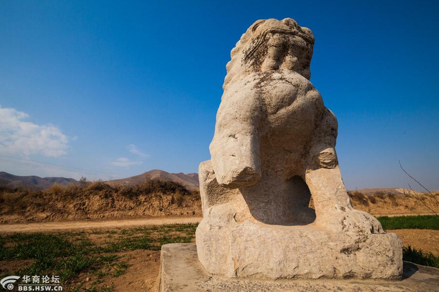 寻唐迹探访唐十八陵光陵