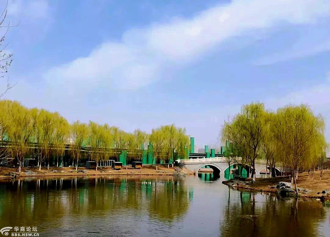 千古流传的盛景灞桥柳