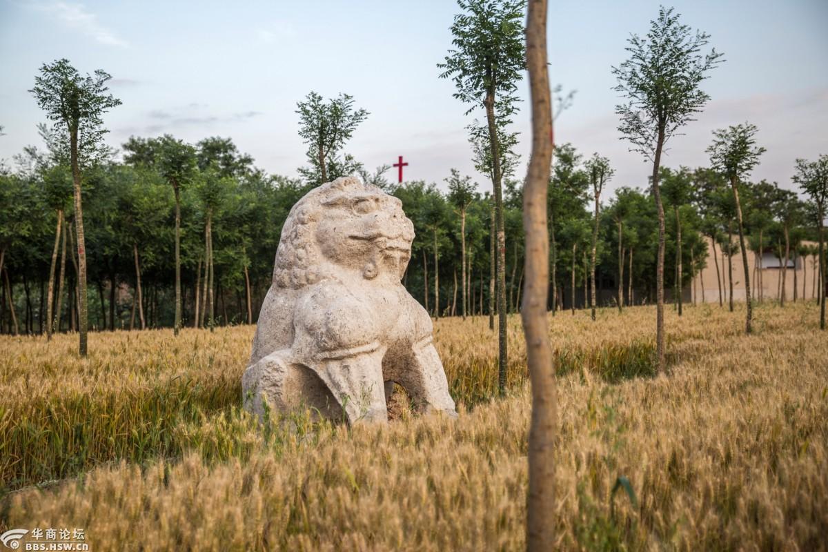 【寻唐迹】探访唐帝陵之15端陵- 抑佛扬道 道灭