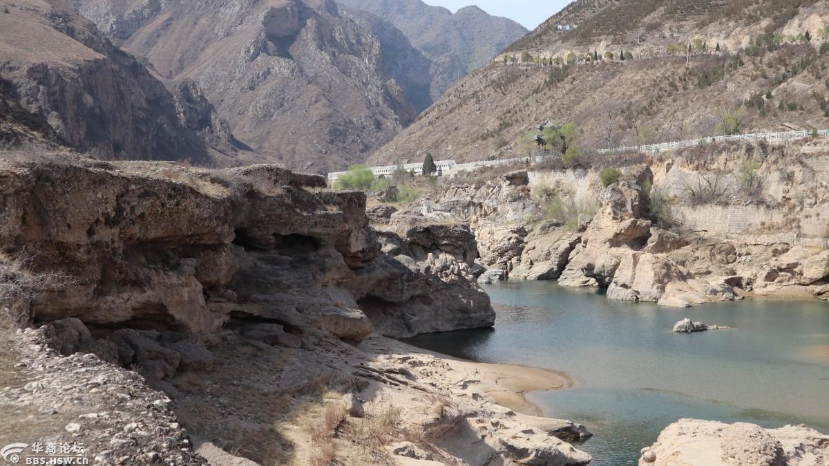 泾水岸边觅梨花