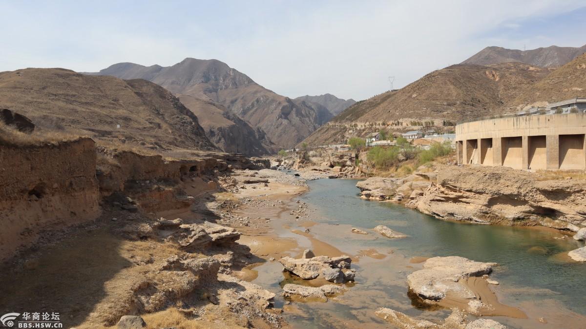 泾水岸边觅梨花