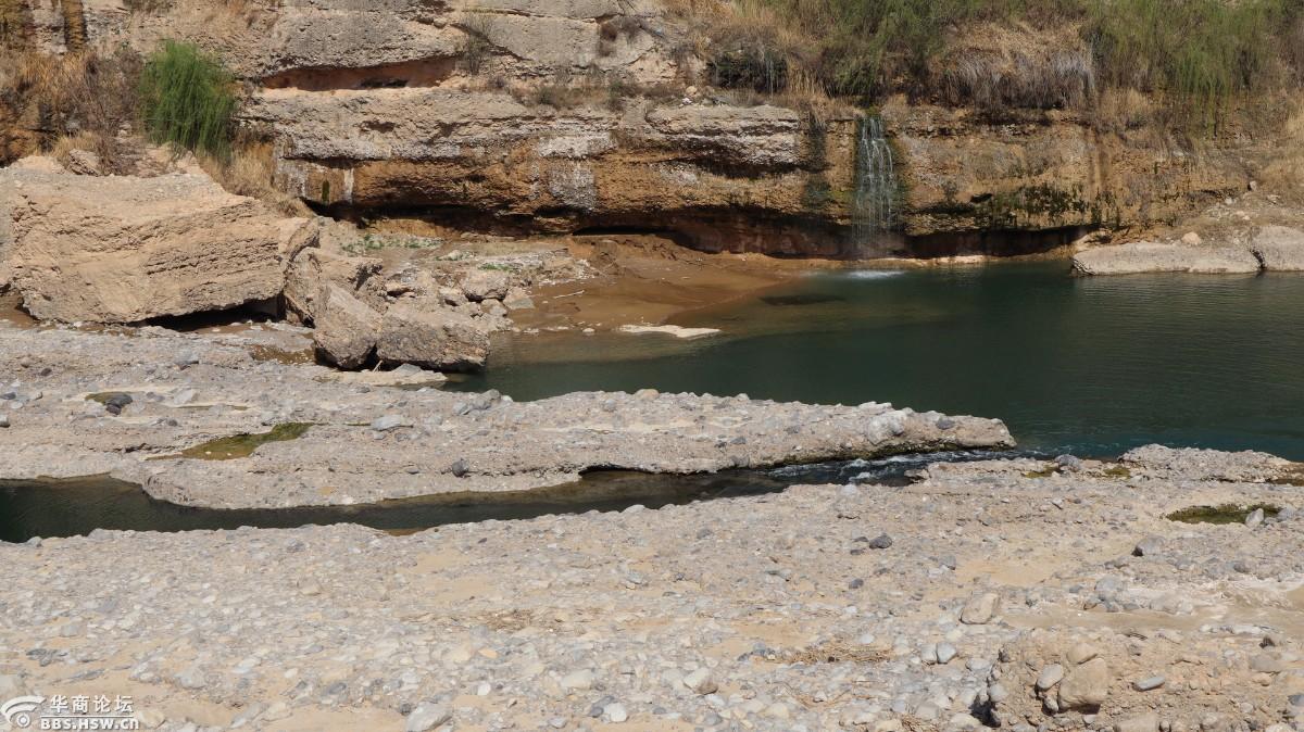 泾水岸边觅梨花