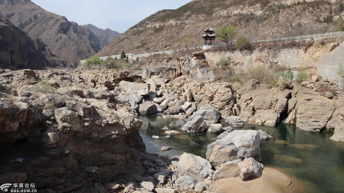 泾水岸边觅梨花
