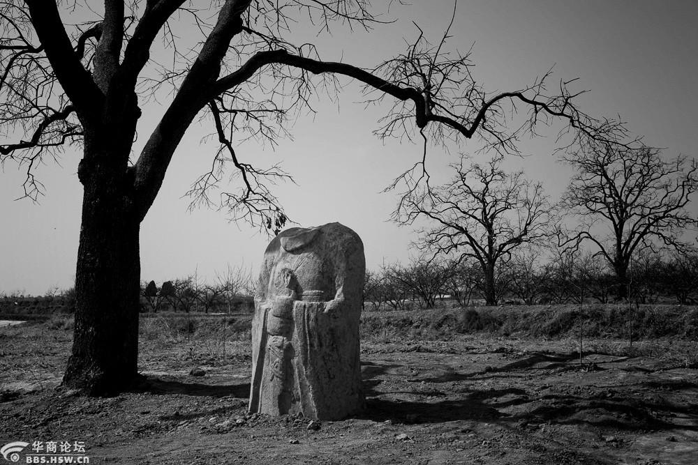 【寻唐迹】象征着大唐颓废之势的三座帝陵