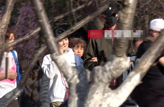 华商娱乐-明星|八卦|绯闻|电影|音乐