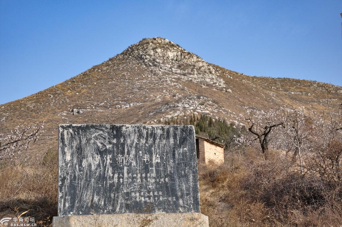 寻唐迹探访唐代帝王陵之丰陵章陵简陵