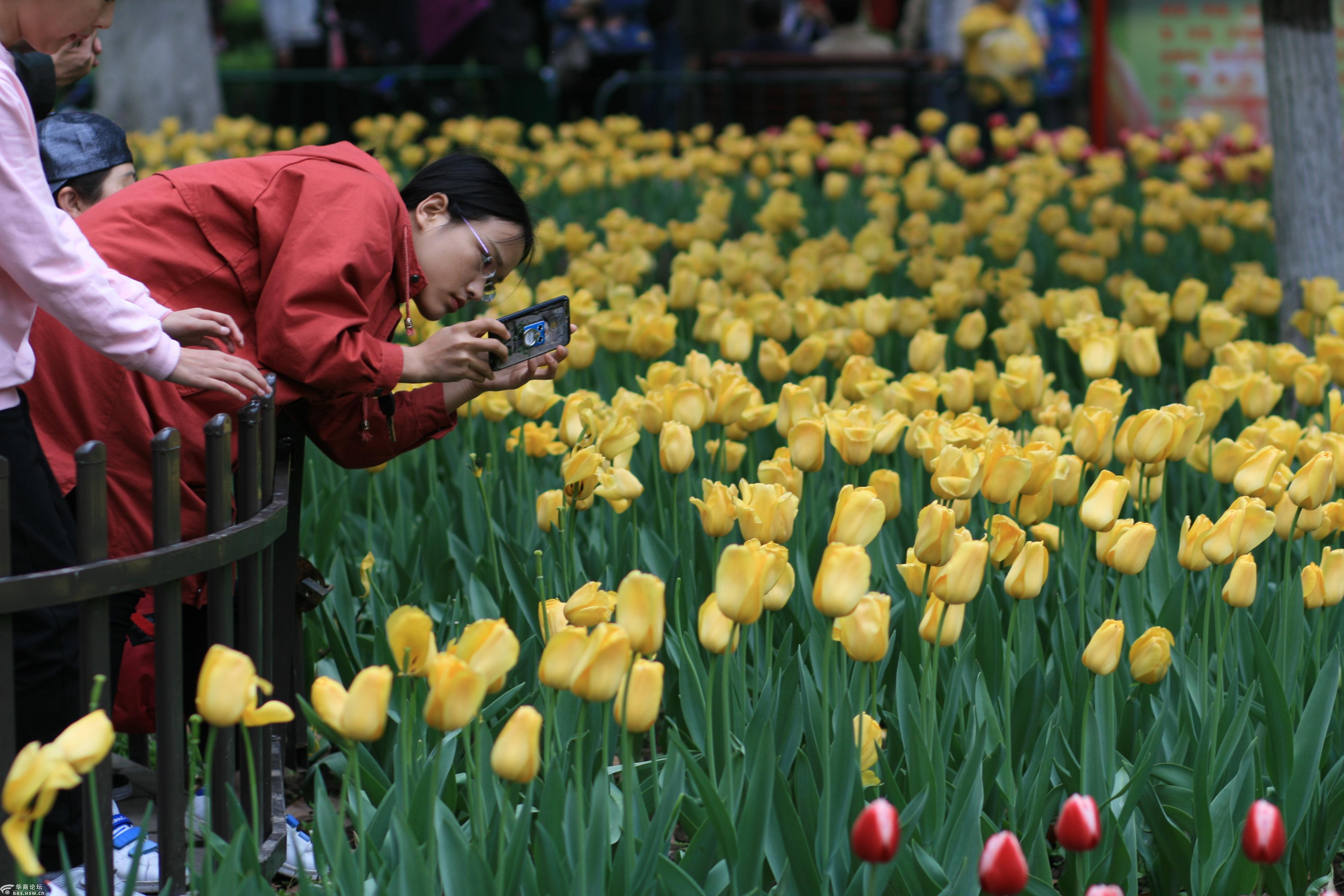 摄影日记又是一年赏花季