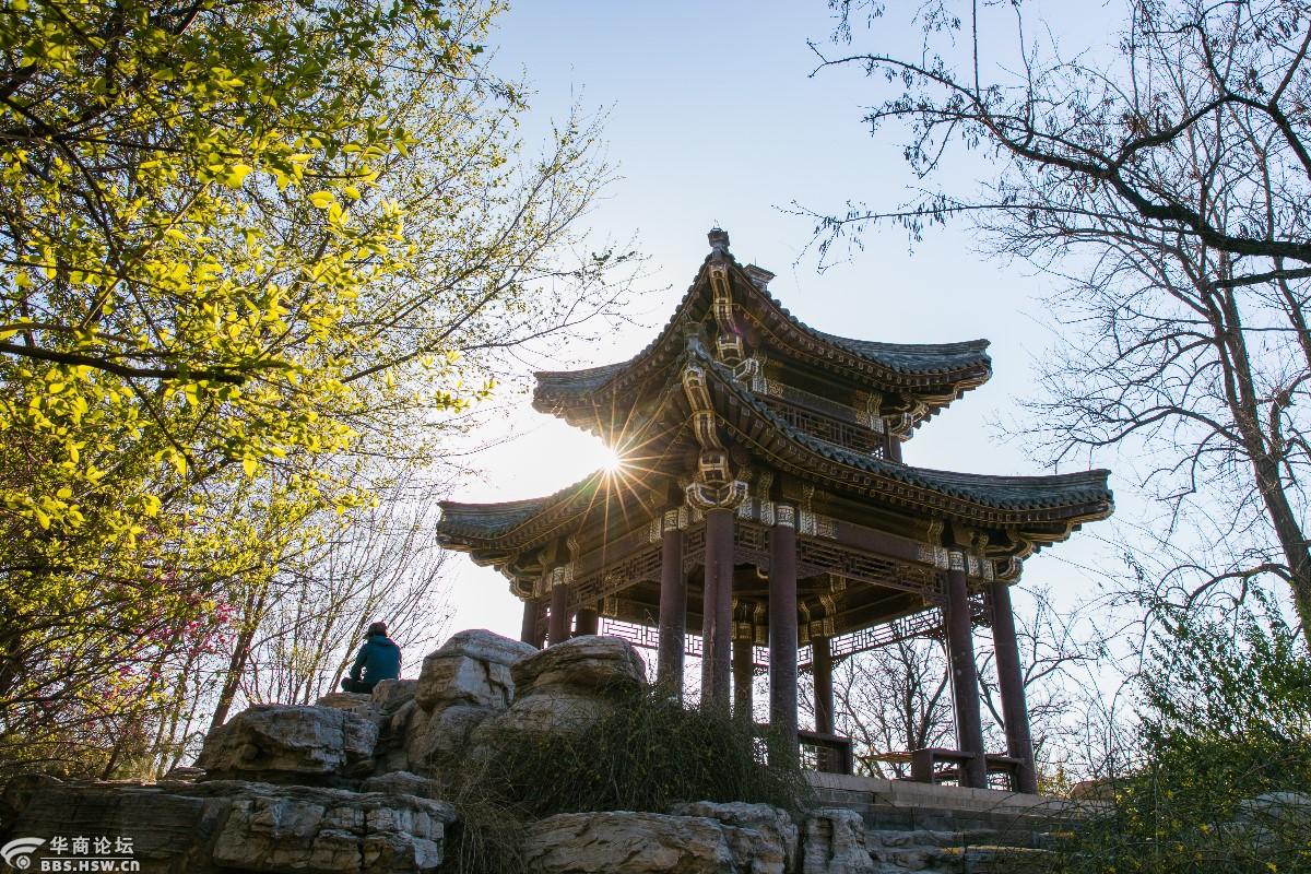 春意盎然北京玉渊潭