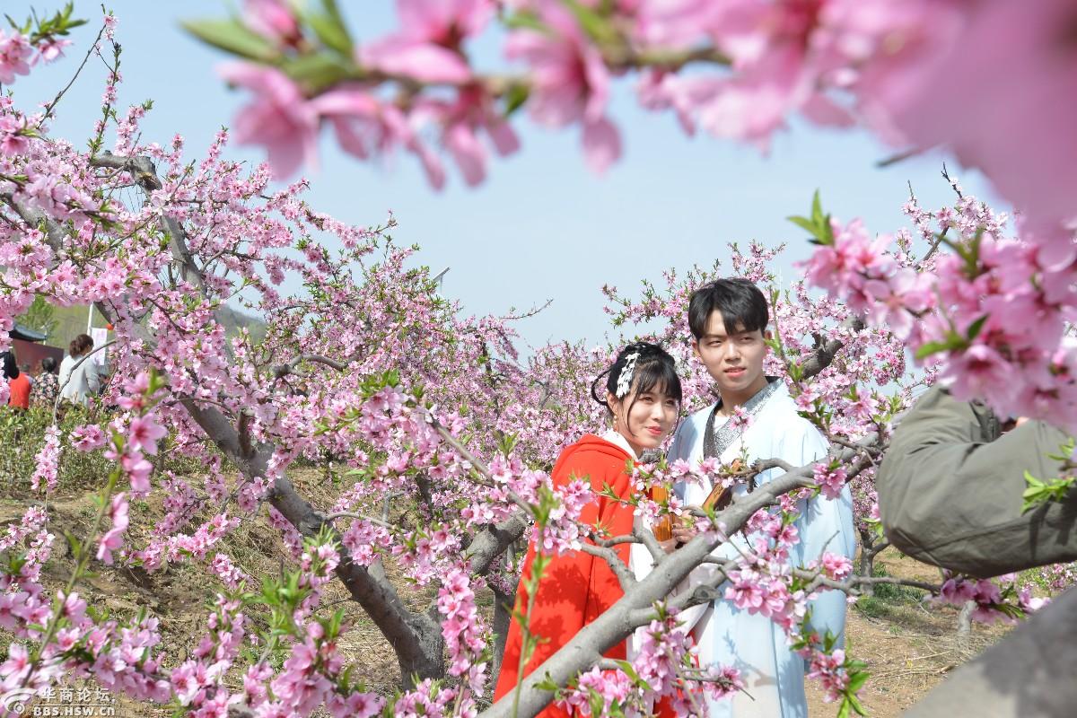 鄠邑区柳泉口村桃花节上习拍汉服人像一
