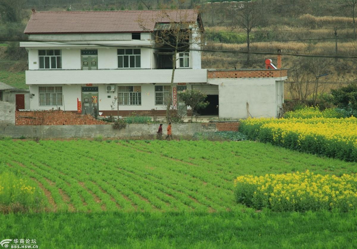 大美汉中原生态洋县乡村廻龙村